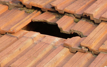 roof repair Old Basing, Hampshire