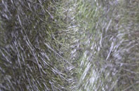 Old Basing fibreglass roof work